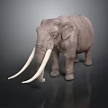 Gray Elephant 3D Model With Long White Tusks Standing On Dark Background