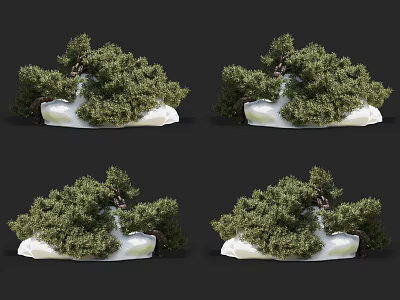 Multiple 3D Rendered Bush Models With Green Foliage And Decorative White Base 3d model