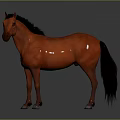 Orange Horse with Brown Mane and Tail Standing Against Gray Background 3d model