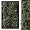 Double Sided Vertical Greenery Wall With Various Lush Tropical Plants 3d model