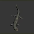 Gray Scaled Lizard Standing on Gray Background with Open Mouth 3d model