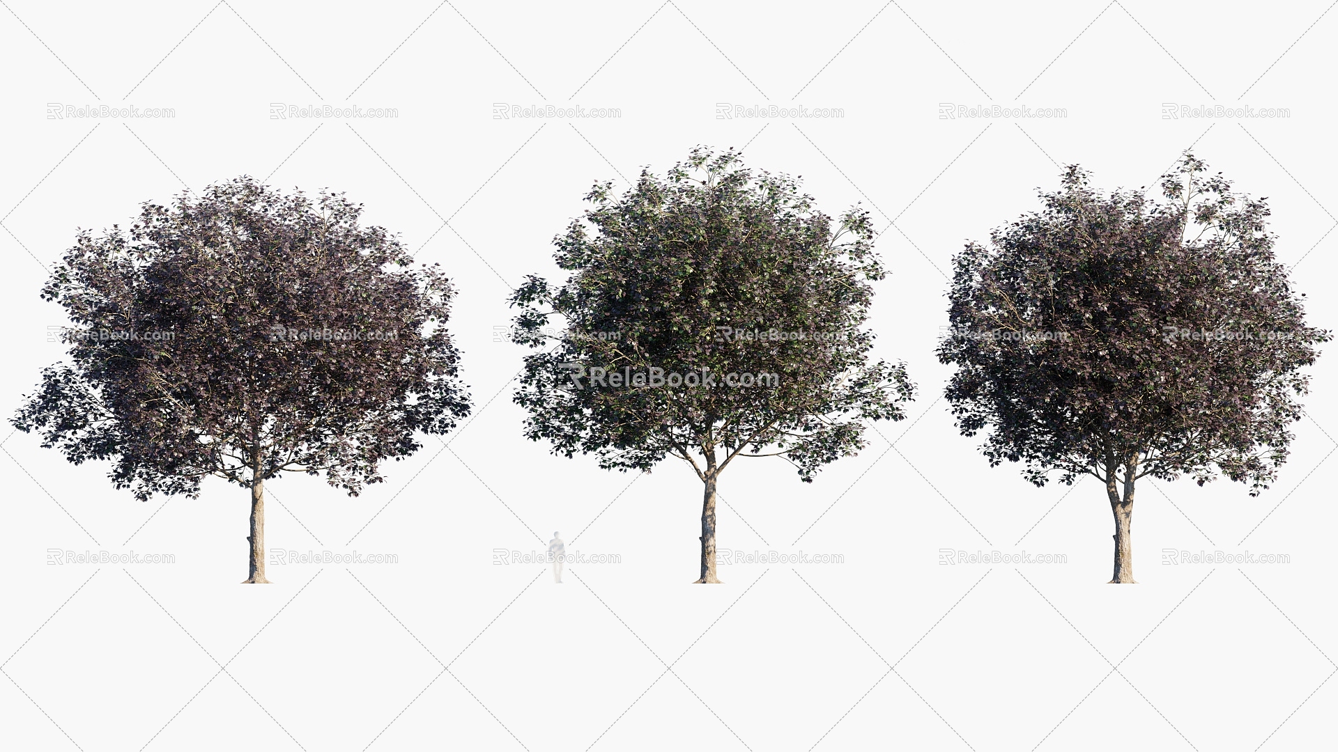 Plants Trees Arbor 3d model