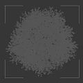Weeping Willow Tree with Long Drooping Green Leaves against Dark Background and Human Silhouette
