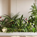 Modern Indoor Plant Combination Featuring Ferns Red Flowering Plants Palms in Rectangular Planter Greenery 3d model