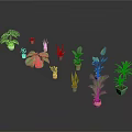 Variety of Potted Indoor Plants with Different Leaf Shapes and Decorative Pots
