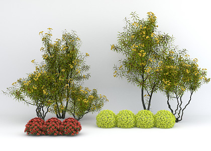 Modern shrub bush ball 3d model