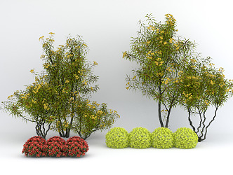 Modern shrub bush ball 3d model