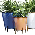 Various Types of Bonsai Potted Plants in Colorful Ceramic Pots for Indoor Decor