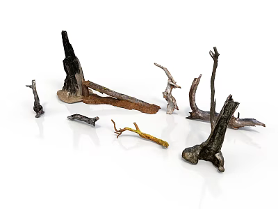Natural Dried Plant Branches and Tree Trunks with Various Shapes for Decorative Crafts 3d model