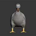 Flying Animal Gray Feathered 3D Model With Yellow Feet Holding Egg In Beak