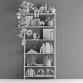 Stylish Shelving Unit with Green Plants Decorative Ornaments Books and Photo Frames