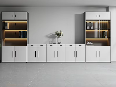 Modern White Bookcases With Glass Doors Central Low Cabinets Decorative Vase And Books Inside 3d model