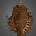Decorative Shell Ornament Set With Natural Texture And Brown Exterior For Home