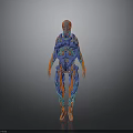 Human Anatomy 3D Model With Red Blue Vessels And Skeletal Structure Visualization