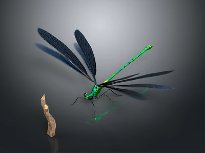 Green and Black Dragonfly with Slender Body and Black Wings Next to Wooden Stick 3d model
