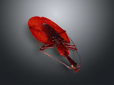 Red Beetle With Shiny Exoskeleton Detailed Texture And Long Legs On Dark Background 3d model