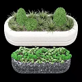 White And Black Roadside Planters With Green Shrubs And Decorative Plants For Urban Streets