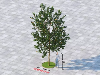 Arbor With 1.8 to 2.2 Meters Height Standing on Paved Ground With Human Figure 3d model
