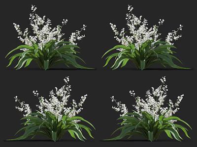 White Flowering Plants With Green Long Leaves And Lush Foliage In Multiple Clusters 3d model