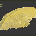 3D Mine Site Terrain Model with Roads Excavated Areas and Vegetation