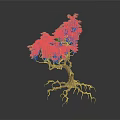 Unique Tree Plant With Exposed Roots Twisted Trunk Green Leaves And Small Red Berries