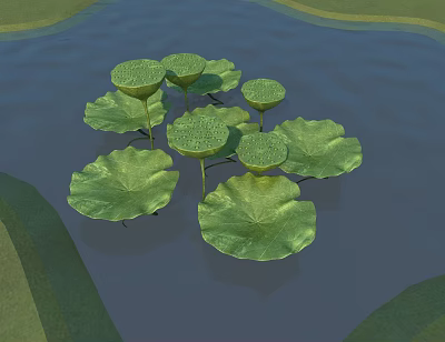 modern lotus 3d model modern lotus 3d model