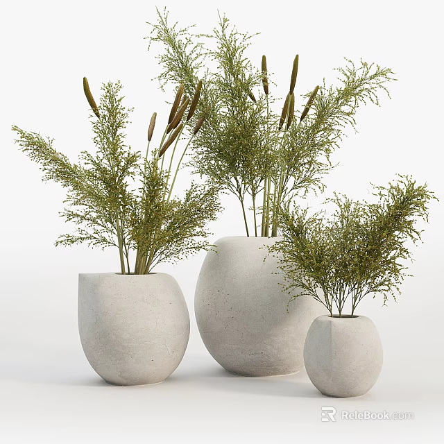 Three Minimalist White Concrete Vases With Rounded Design And Green Herbal Plants 3d model 