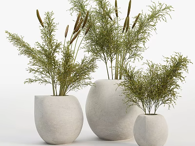Three Minimalist White Concrete Vases With Rounded Design And Green Herbal Plants 3d model