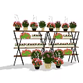 Multi tiered Display Shelves with Colorful Flower Vases and Potted Assorted Flowers