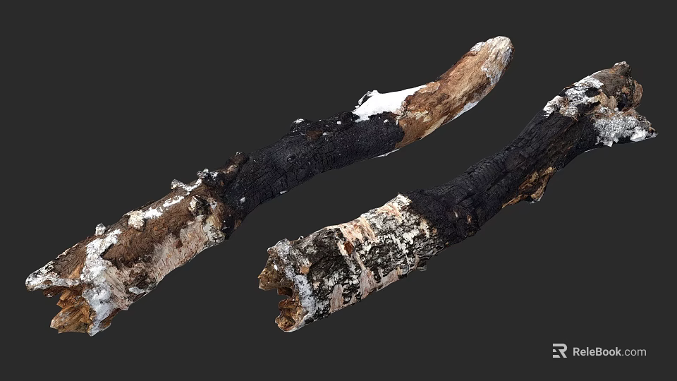 Charred Wood and Stone Material with Natural Burned Texture and Surface Details 3d model 