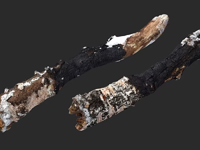 Charred Wood and Stone Material with Natural Burned Texture and Surface Details 3d model