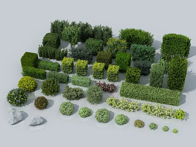 Different Varieties Of Shrubs With Various Shapes Sizes And Colors For Garden Design 3d model