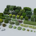 Different Varieties Of Shrubs With Various Shapes Sizes And Colors For Garden Design