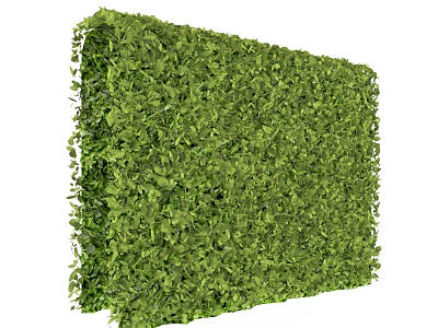 Lush Green Plant Wall With Dense Foliage For Indoor Outdoor Decor 3d model