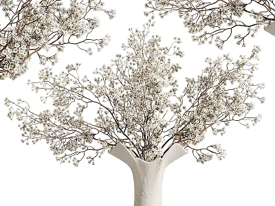 Delicate White Vase With Natural Blooming White Flower Branches For Home Decor 3d model