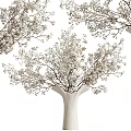 Delicate White Vase With Natural Blooming White Flower Branches For Home Decor