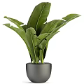 Varied Indoor Potted Plants In Gray Pots With Diverse Leaf Types For Home Decor