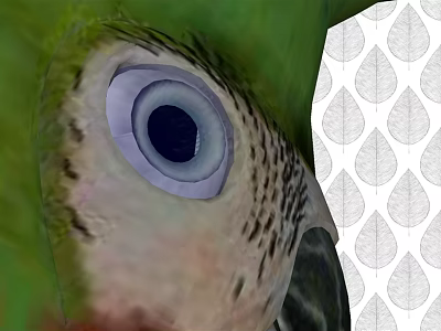 Vibrant Green Parrot With Purple Eye Ring Feathers And Black Beak On Leaf Pattern Background 3d model