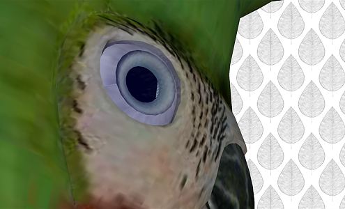 Modern parrot 3d model