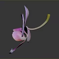 Bonsai Potted Plant With Purple Orchid Pink Gradient Petals Yellow Stem Black Background And Reflection