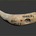Ancient Carved Bone Artifact Featuring Inscriptions 77132P1 G1616 And Red Dot