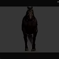 Realistic Brown Horse With Leather Saddle Walking On Gray Background 3d model