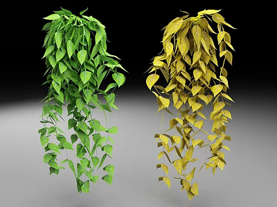 Lush Hanging Plants With Green And Yellow Leaves Dangling As Decorative Vines 3d model