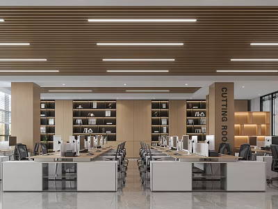Modern Public Office Space With Open Layout Desks Chairs Bookshelves And Ceiling Lighting 3d model