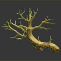 Wooden and Stone Tree Trunk Sculpture with Branches as Decorative Art Piece