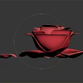 Beautiful Red Rose Bloom With Scattered Petals On Black Reflective Surface