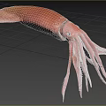 Pink Squid With Long Tentacles And Streamlined Body In Aquatic Habitat