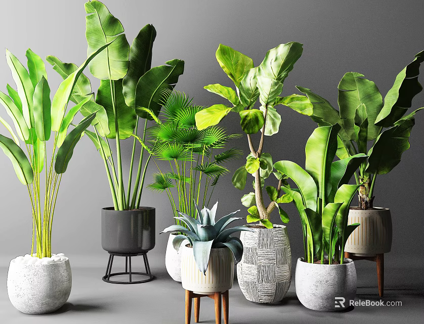 Various Indoor Potted Green Plants With Different Stylish Planters And Stands 3d model 