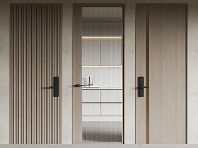 Modern Hinged Doors In Interior Design With Wooden Glass Panels Sleek Lines And Handles 3d model
