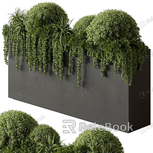 Plant wall model